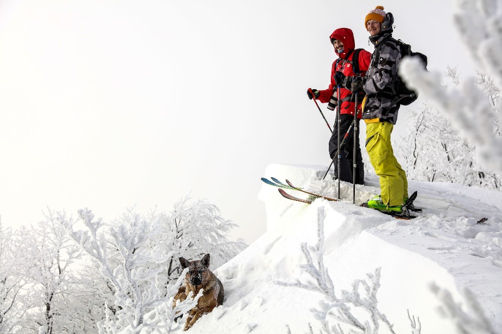 ski with dog 6